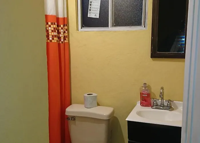 Tomas Wilson Mx Apartment Mexico City