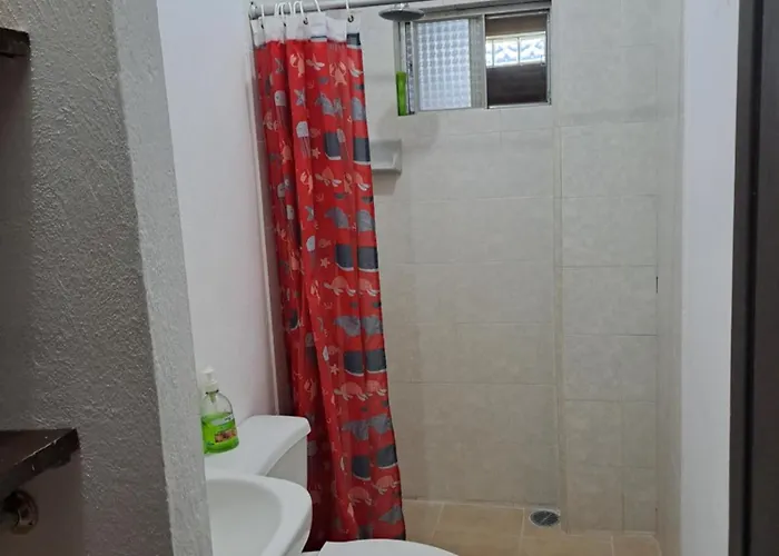 Tomas Wilson Mx Apartment Mexico City