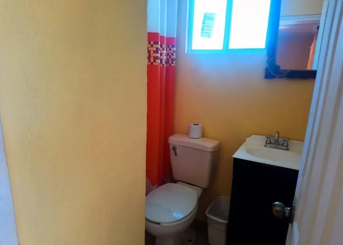 Tomas Wilson Mx Apartment Mexico City